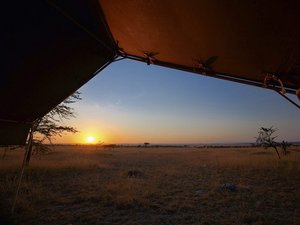 Ausblick aus dem Zelt inmitten der Serengeti