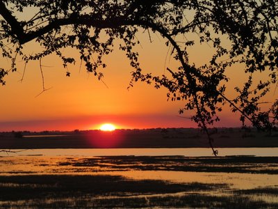 Knallroter Sonnenuntergang am Chobe River in Botswana