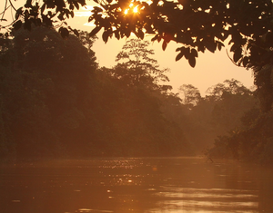 Orangener Sonnenuntergang an einem Fluss im Amazonas