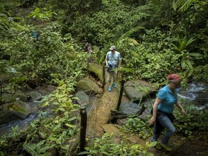 Eine Reisegruppe überquert einen kleinen Bach in der La Tigra Rainforest Lodge